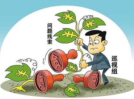 貫徹落實被巡視黨組織配合巡視規(guī)定  推動全面從嚴治黨向縱深發(fā)展