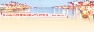 改革開放 瞄準(zhǔn)更高目標(biāo)（在習(xí)近平新時(shí)代中國特色社會(huì)主義思想指引下·代表委員暢談抓落實(shí)）