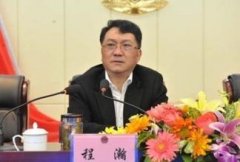 安徽省司法廳黨委委員、副廳長程瀚接受調(diào)查