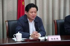 安徽省副省長楊振超涉嫌嚴(yán)重違紀(jì)接受組織調(diào)查