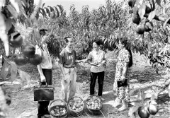 把點(diǎn)滴小事辦成實(shí)事好事
