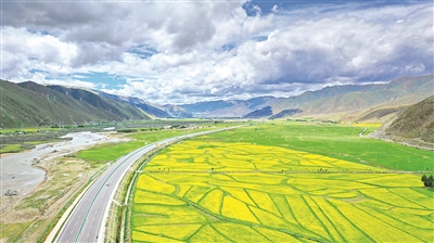 拉林公路沿線油菜花和青稞地田園風(fēng)光。新華社記者 張汝鋒 攝
