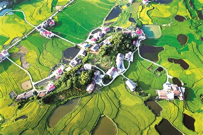 2021年8月20日，俯瞰湖南省婁底市雙峰縣井字鎮(zhèn)花山村，硬化后的公路到組到戶，持續(xù)拓展的交通扶貧成果同鄉(xiāng)村振興有效銜接，不斷帶動(dòng)壯大農(nóng)村集體經(jīng)濟(jì)，促進(jìn)農(nóng)業(yè)增效、農(nóng)民增收。（圖片來(lái)源：視覺(jué)中國(guó)）