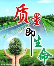 中共中央國務(wù)院關(guān)于開展質(zhì)量提升行動的指導(dǎo)意見