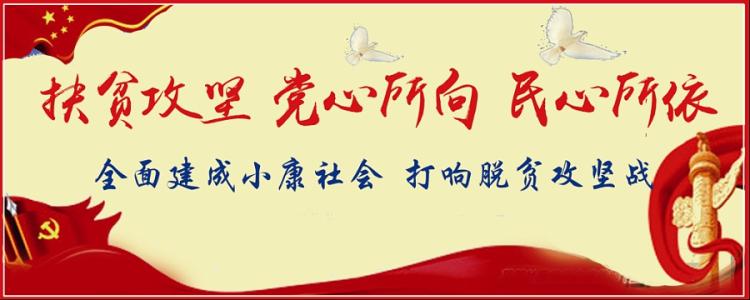 將“精準(zhǔn)”貫穿全過(guò)程全領(lǐng)域