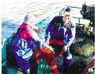 小漁村正朝著全面建成小康社會(huì)的目標(biāo)大步邁進(jìn)，一個(gè)生機(jī)勃勃的山?；▓@即將建成