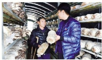 想脫貧,光說不練不行,弄虛作假更不行,只有真的沉下心,動腦筋,想辦法,下功夫,帶領(lǐng)大家一步步干,鄉(xiāng)親們才會真認(rèn)可你,才會跟著你脫貧致富,廉政教育