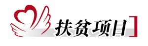 以制度規(guī)范解決“怎么駐”“如何扶”