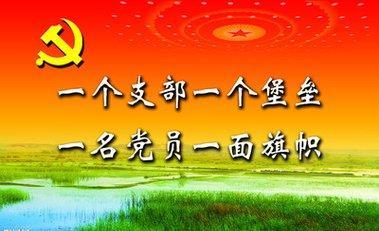 建強戰(zhàn)斗堡壘，讓鄉(xiāng)村振興動力澎湃