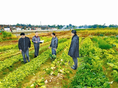 尋找隱身“低保戶(hù)”