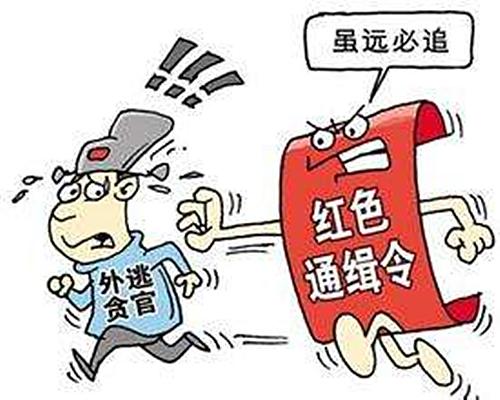 重慶:追逃追贓防逃三管齊下 去年以來(lái)追回27人