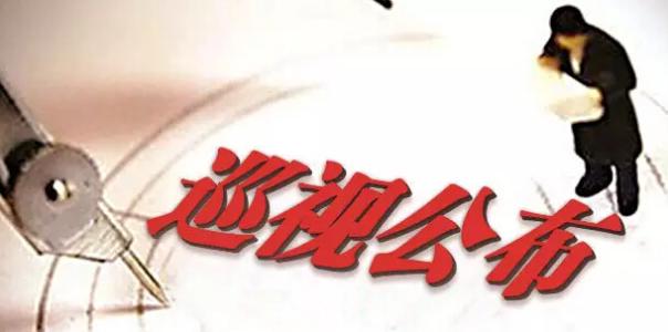 北京環(huán)衛(wèi)集團、化工集團等4家單位公布巡視整改情況