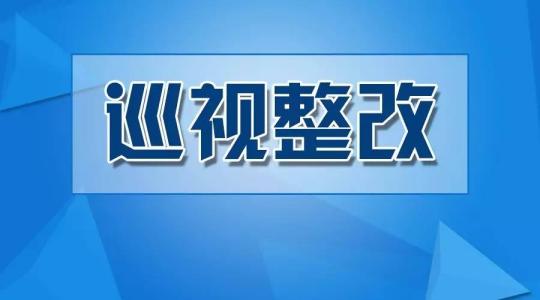 新華社:開展深化巡視＂回頭看＂整改工作