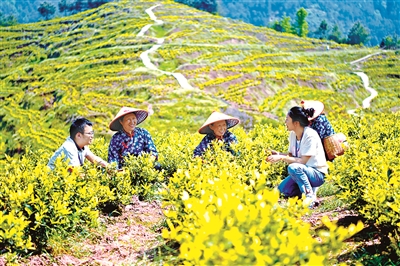 織密廉潔亞運(yùn)監(jiān)督網(wǎng)